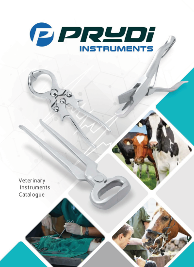 Prudi veterinary cat First page